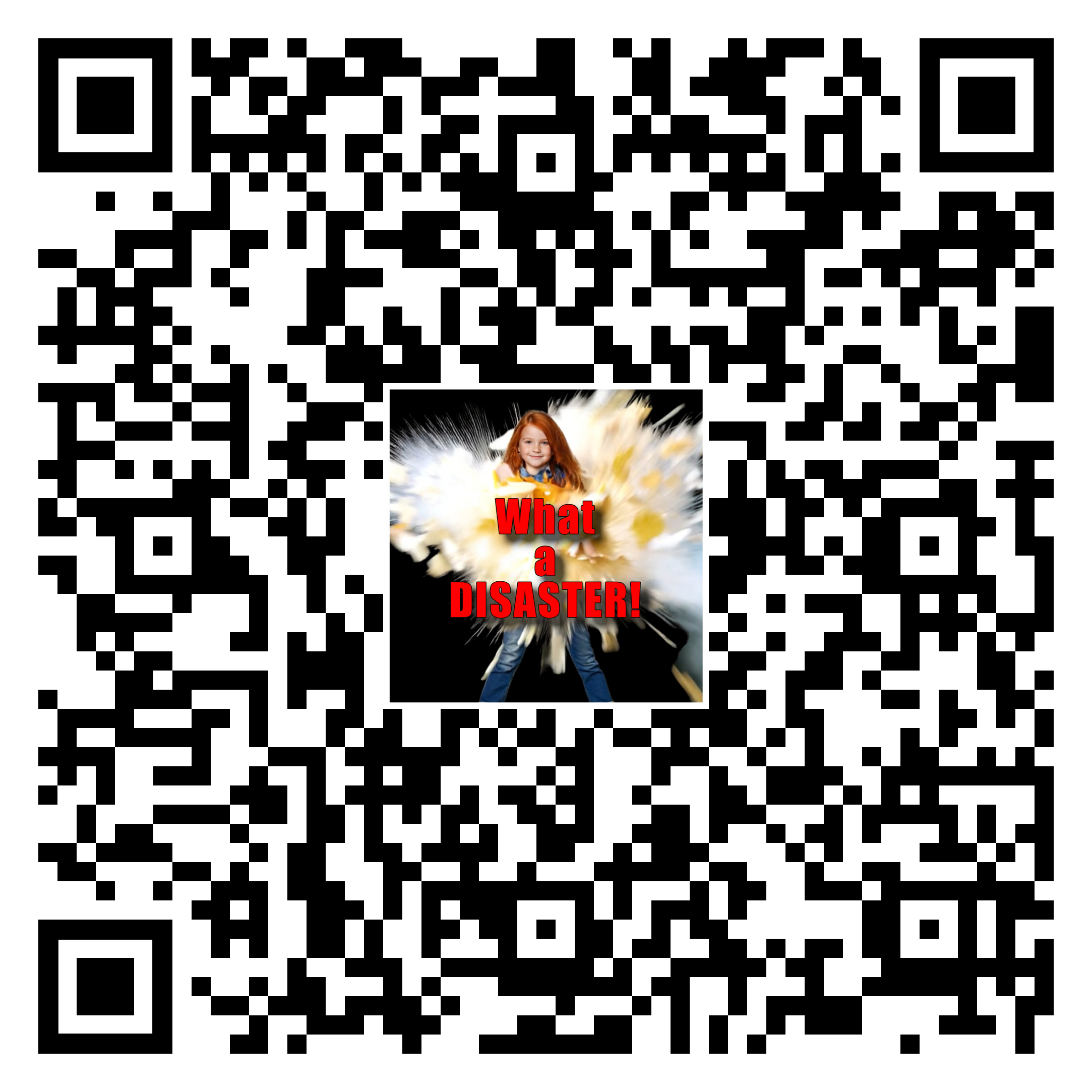 What%20a%20disasterqr code
