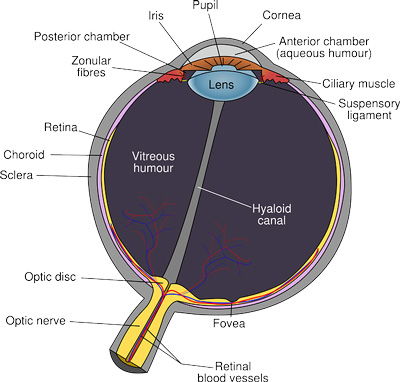 eye gd68aa688d_640