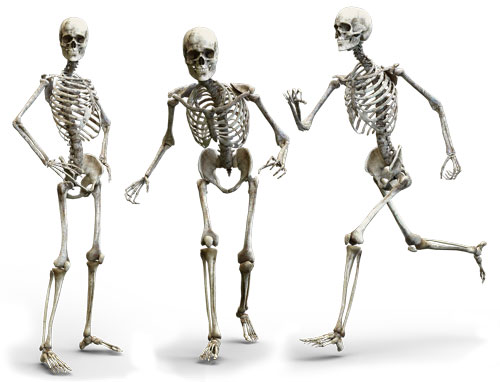 skeleton g50794f886_1280