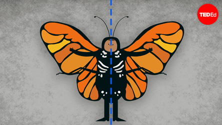 symmetry